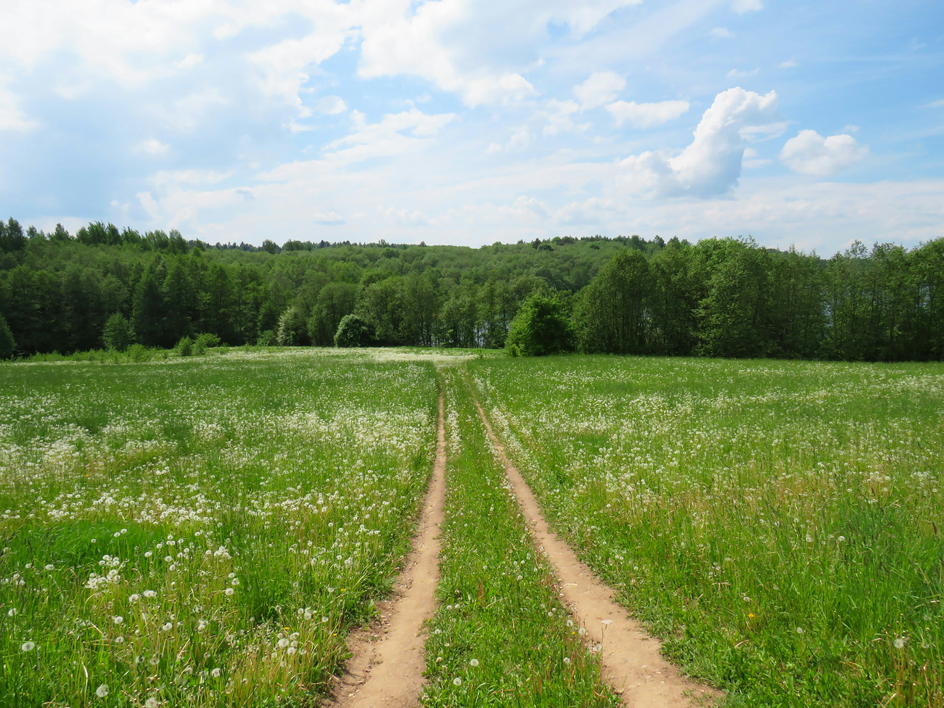 Dirt path through a green meadow toward a forest under a partly cloudy sky