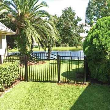 A black fence surrounds a lush green yard with a palm tree in the background.