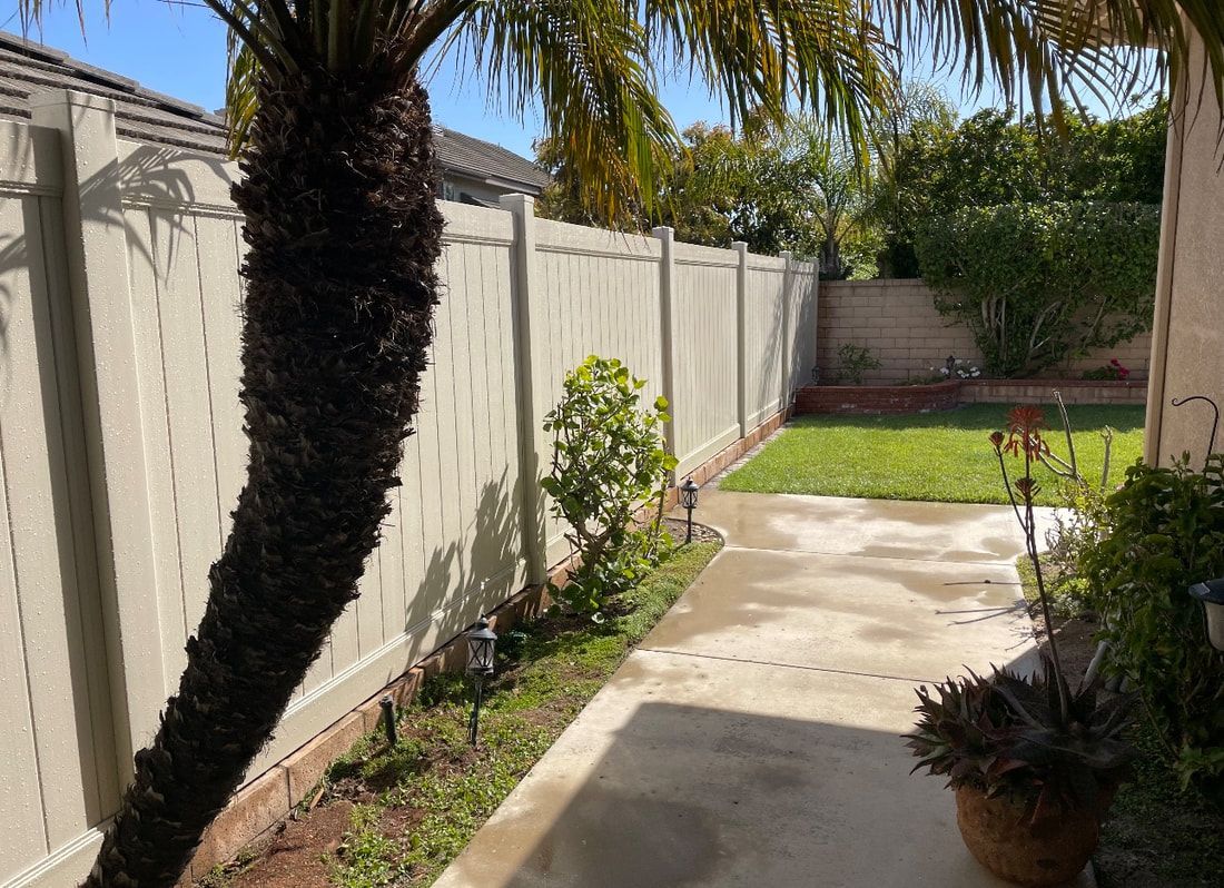 A white fence surrounds a backyard with a palm tree in the foreground.