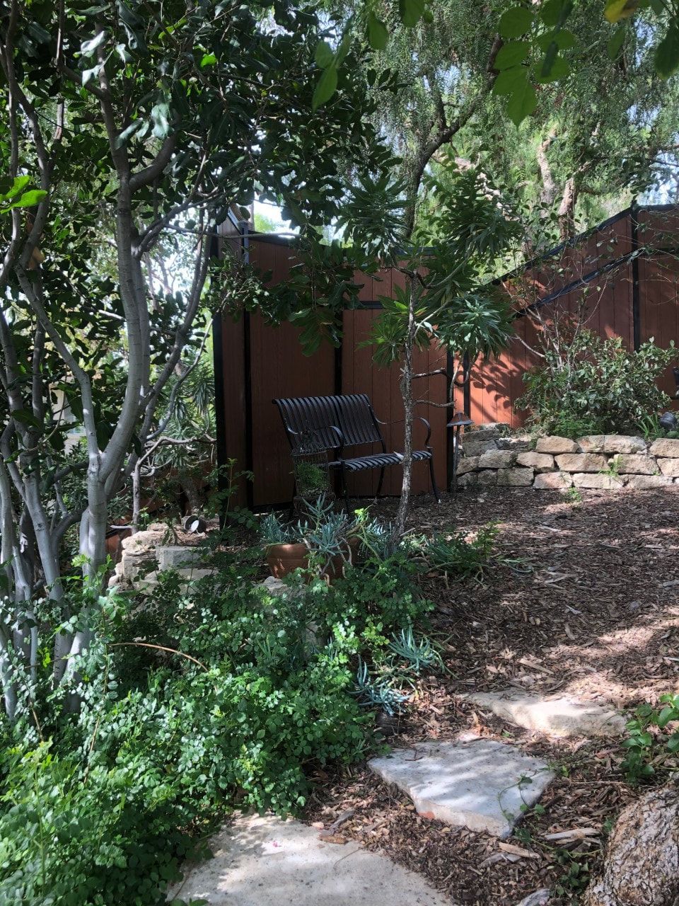 A bench is sitting in the middle of a garden surrounded by trees.
