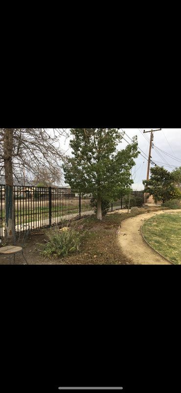 A fence surrounds a park with trees and a path.