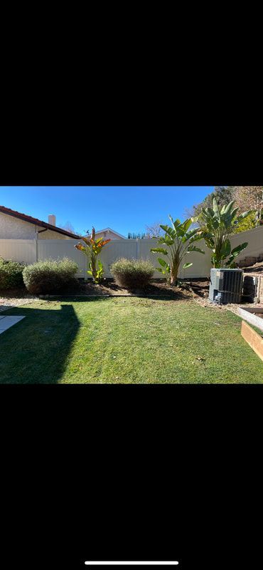 A backyard with a lush green lawn and a house in the background.