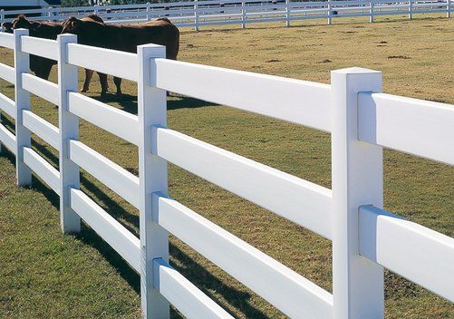 A white fence with horses behind it in a field