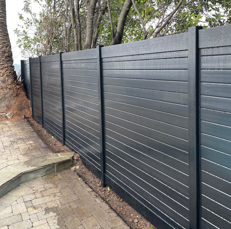 A black fence with a palm tree in the background