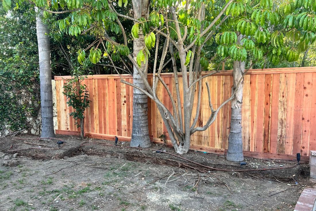 A wooden fence is surrounded by trees in a backyard.
