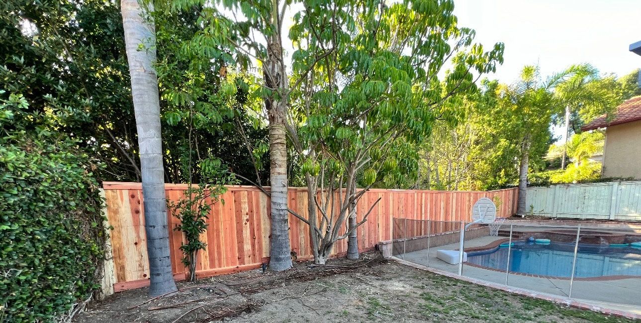 A wooden fence surrounds a swimming pool in a backyard.