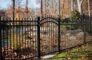 A black wrought iron fence with a gate is surrounded by trees and leaves.