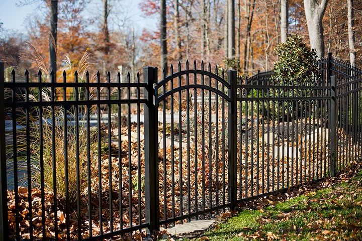 A black wrought iron fence with a gate is surrounded by trees and leaves.