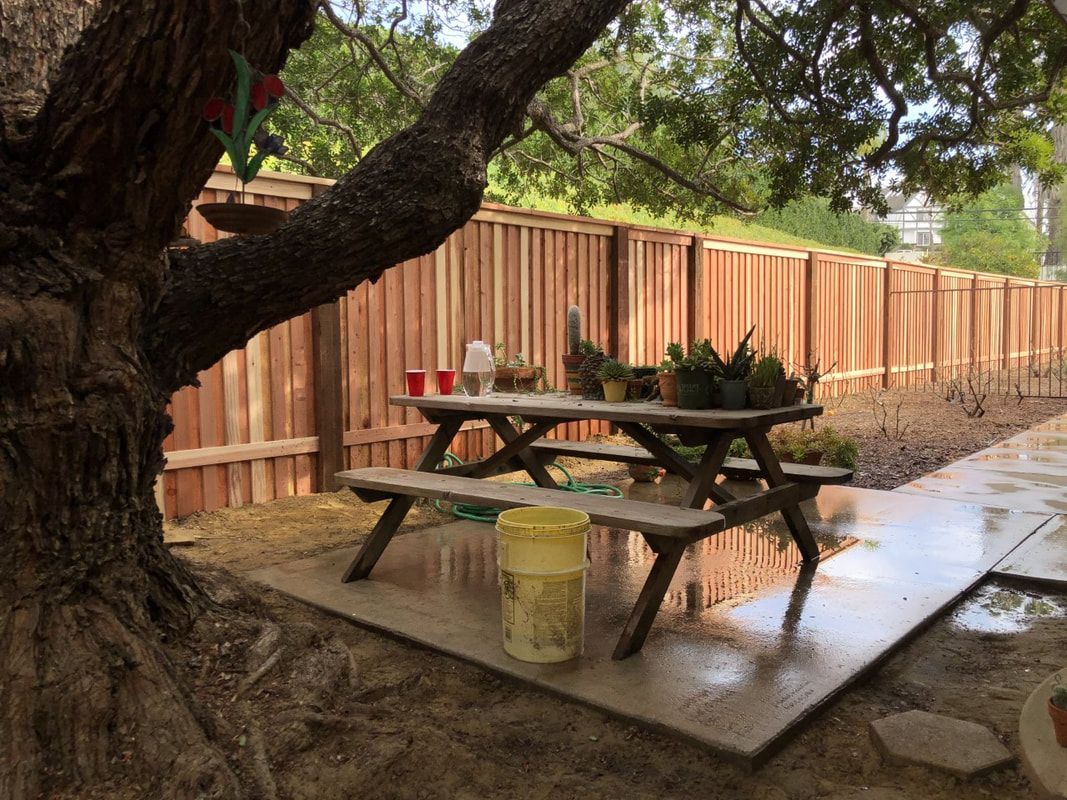 A picnic table is sitting under a tree in a backyard.