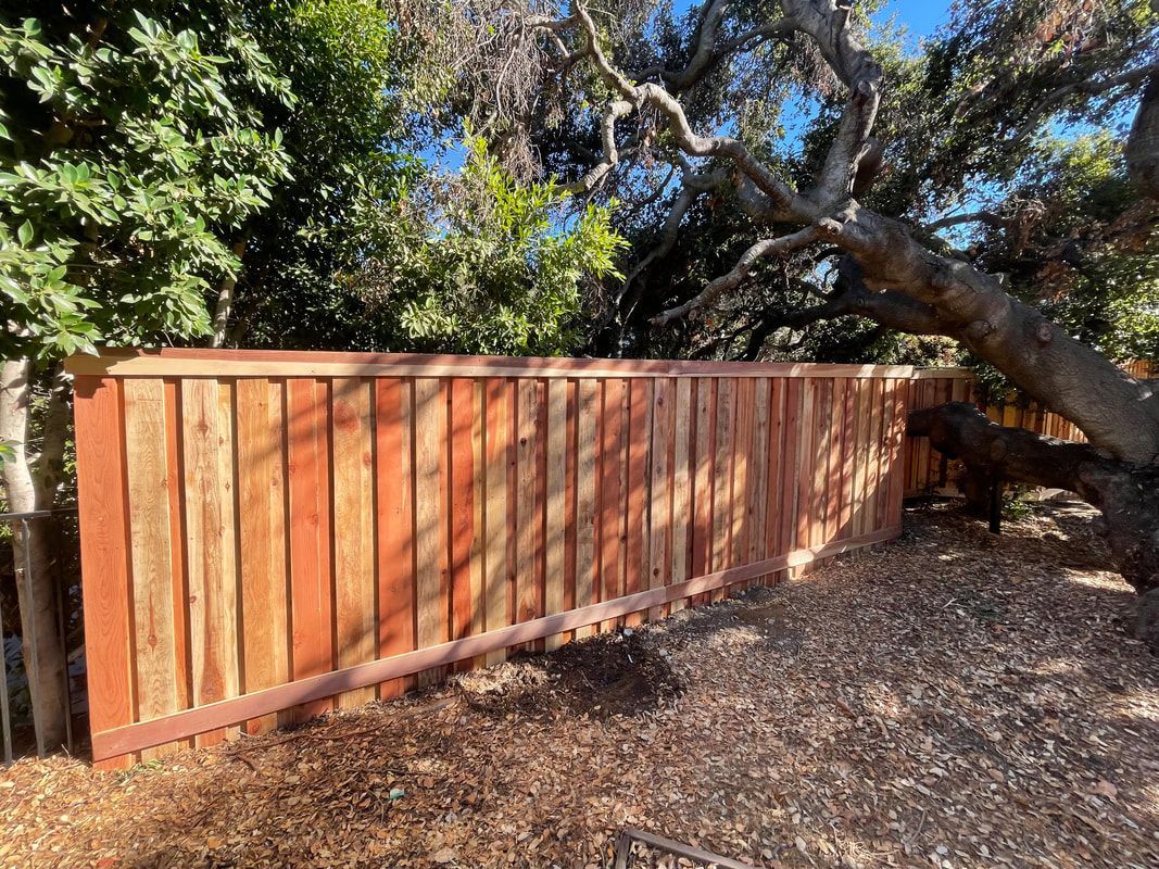 A wooden fence is surrounded by trees in a backyard.