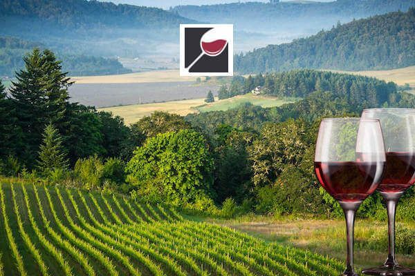 Willamette Valley Wine Tasting Tours