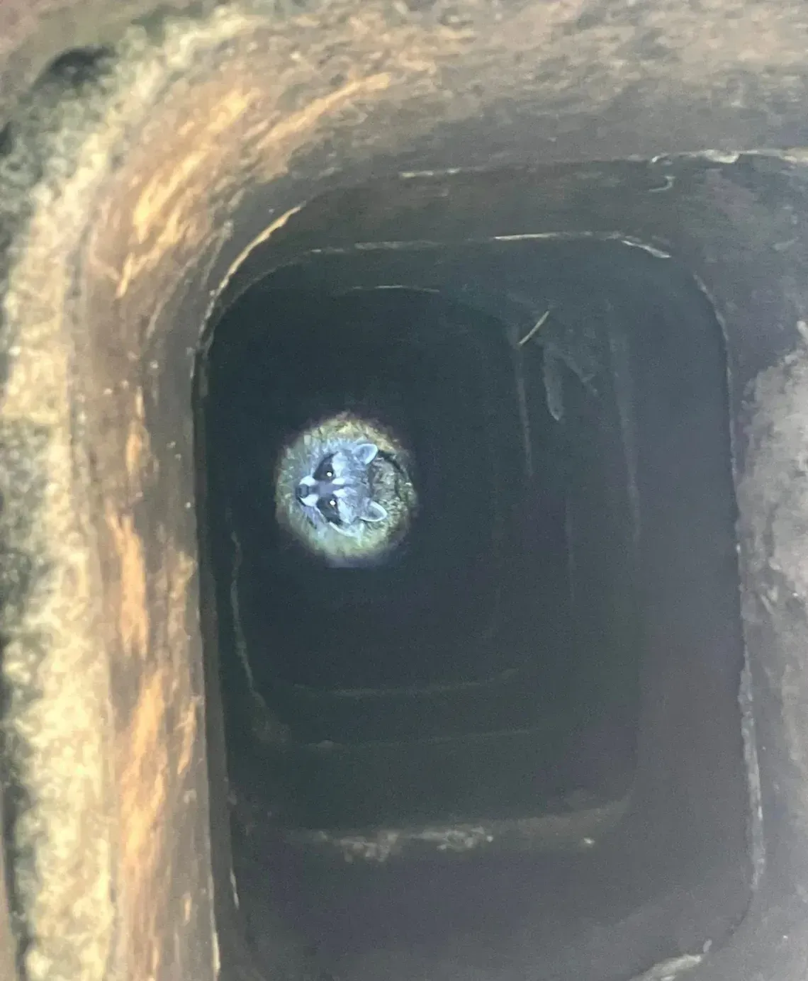 A view looking up into a dark, rectangular chimney flue, showing a circular opening at the top letting in daylight.