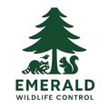 Logo for Emerald Wildlife Control: a green pine tree with a raccoon, a squirrel, and a small bird beneath it.
