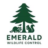 Emerald-Wildlife-Control-logo