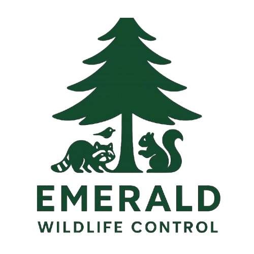 Emerald-Wildlife-Control-logo