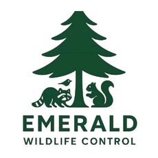 Logo for Emerald Wildlife Control: a green pine tree with a raccoon, a squirrel, and a small bird beneath it.