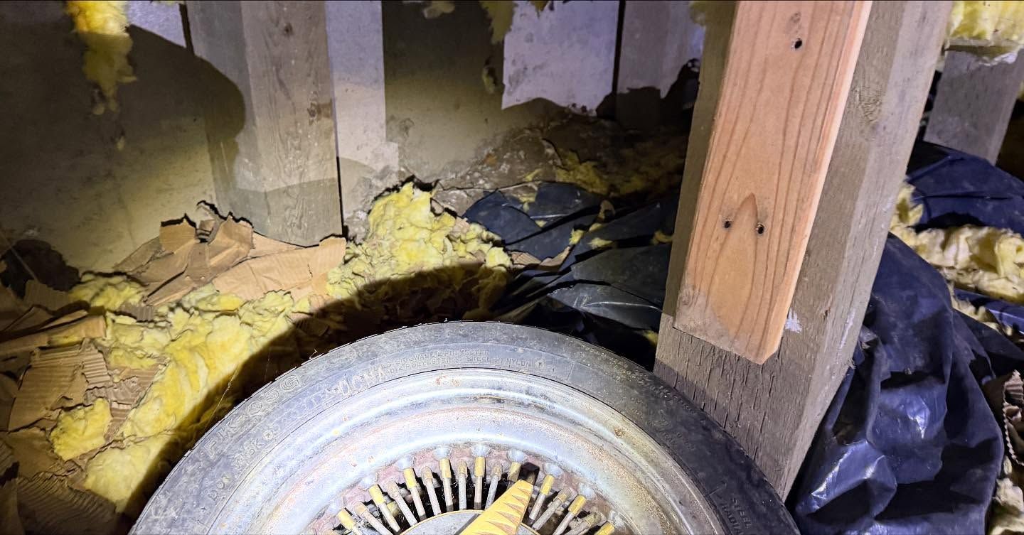 A car wheel with a wire-spoke rim resting in a dark crawlspace among yellow insulation and plastic sheeting.