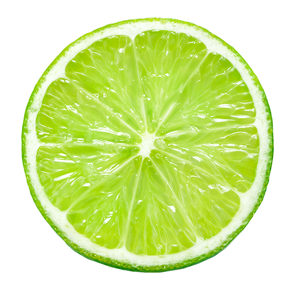 A close up of a slice of lime on a white background.