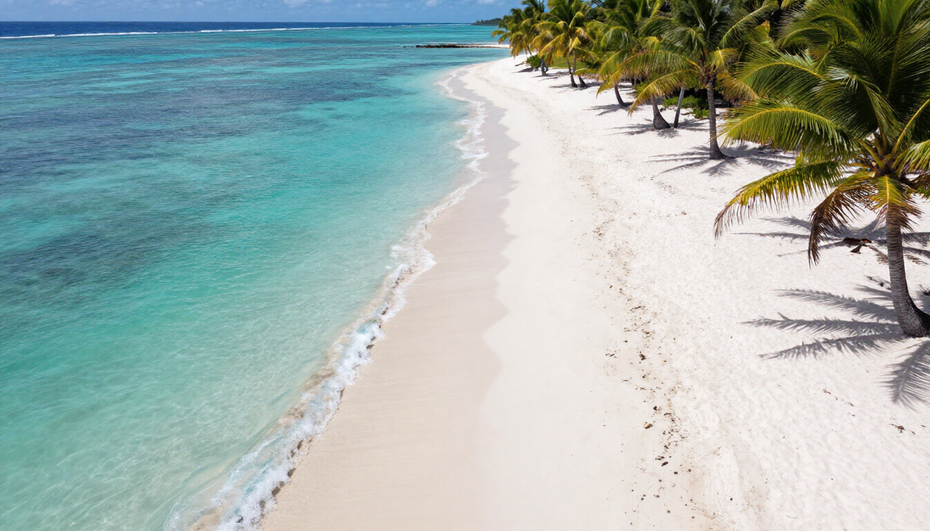 Friendly Waggy Vacation Deals travel expert ready to help