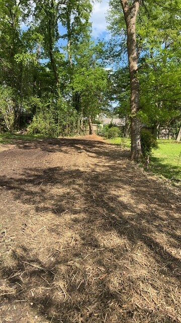 A dirt road in the middle of a forest with trees in the background.