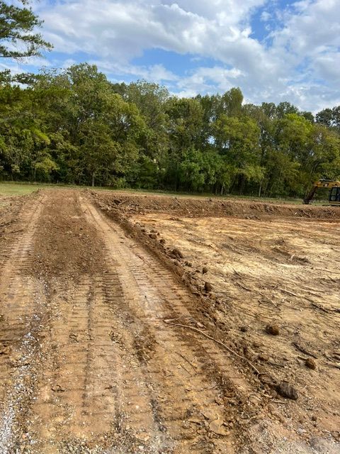 A dirt road going through a field with trees in the background.