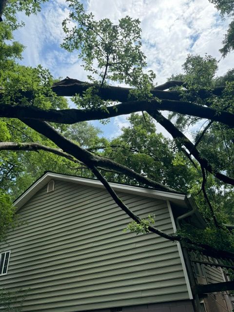 A tree branch has fallen on top of a house.