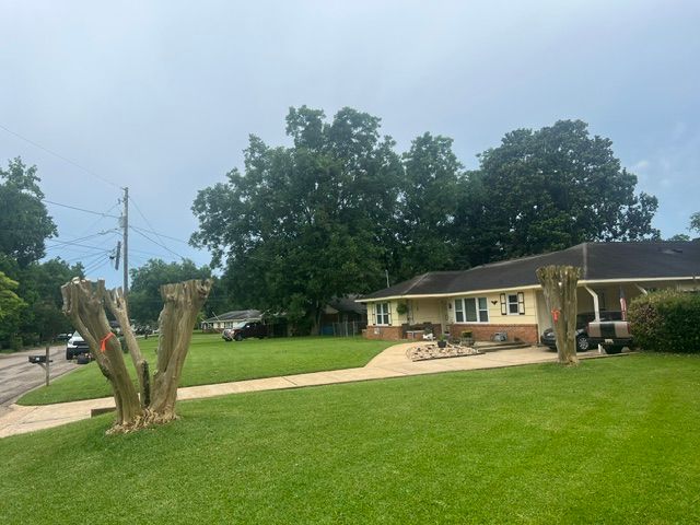 A house with a lot of trees in front of it