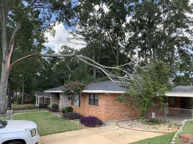A tree has fallen on top of a brick house.