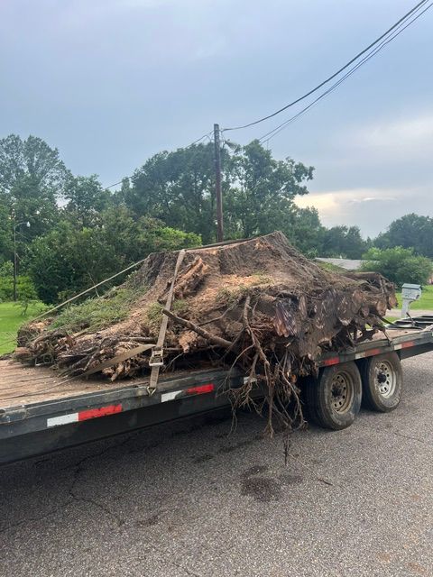 A large tree stump is sitting on top of a trailer.
