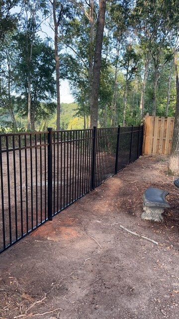 A black fence is surrounding a yard with trees in the background.