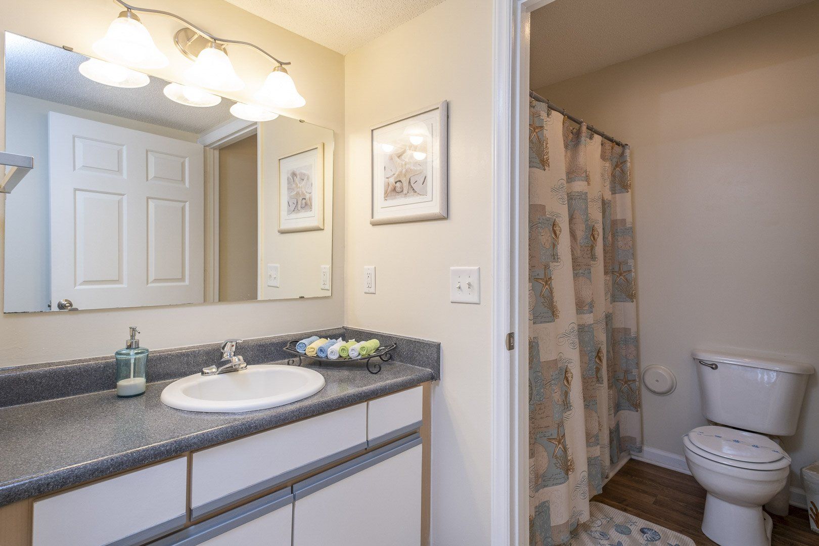 Photos Veterans Park Apartments in Wilmington, NC