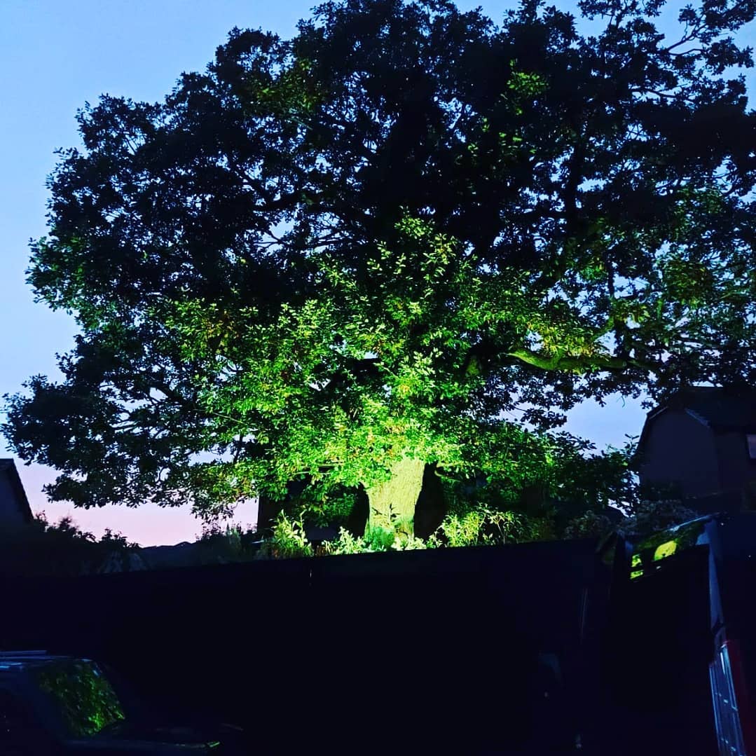 Outdoor Lighting - Domestic Electrician