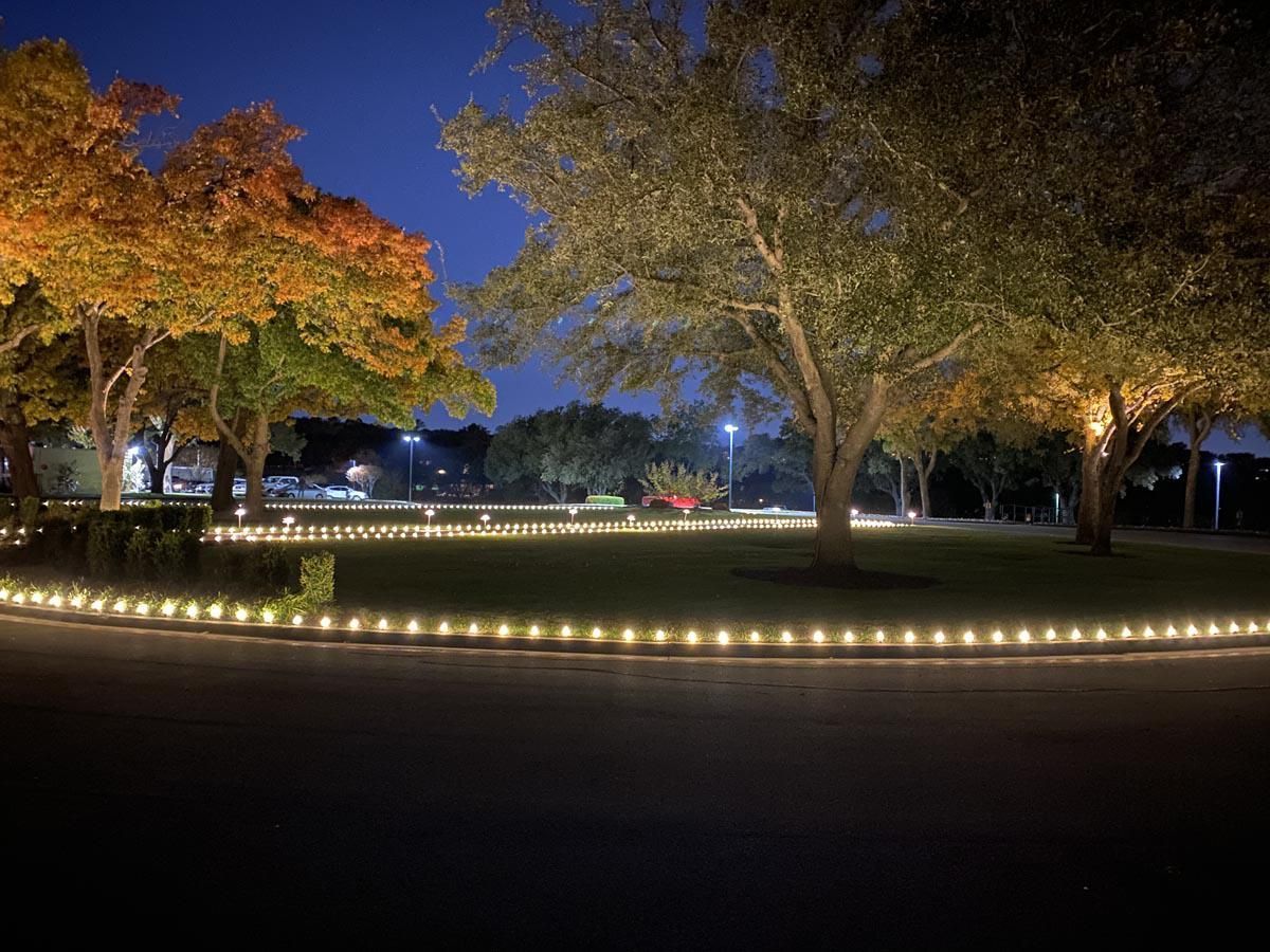Night view of park with trees, a ring of lights, and dark blue sky.