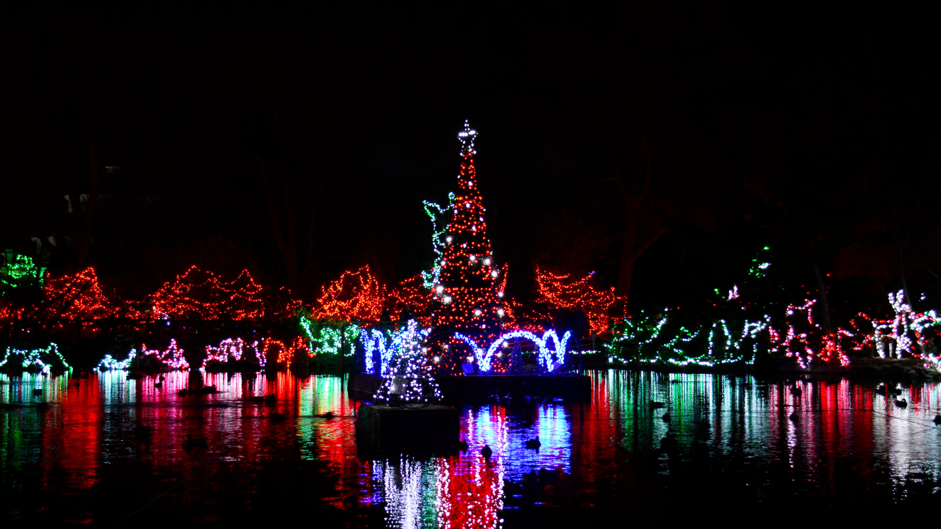 Christmas lights reflected in water, with a central tree-shaped display. Red, green, and blue lights against black.