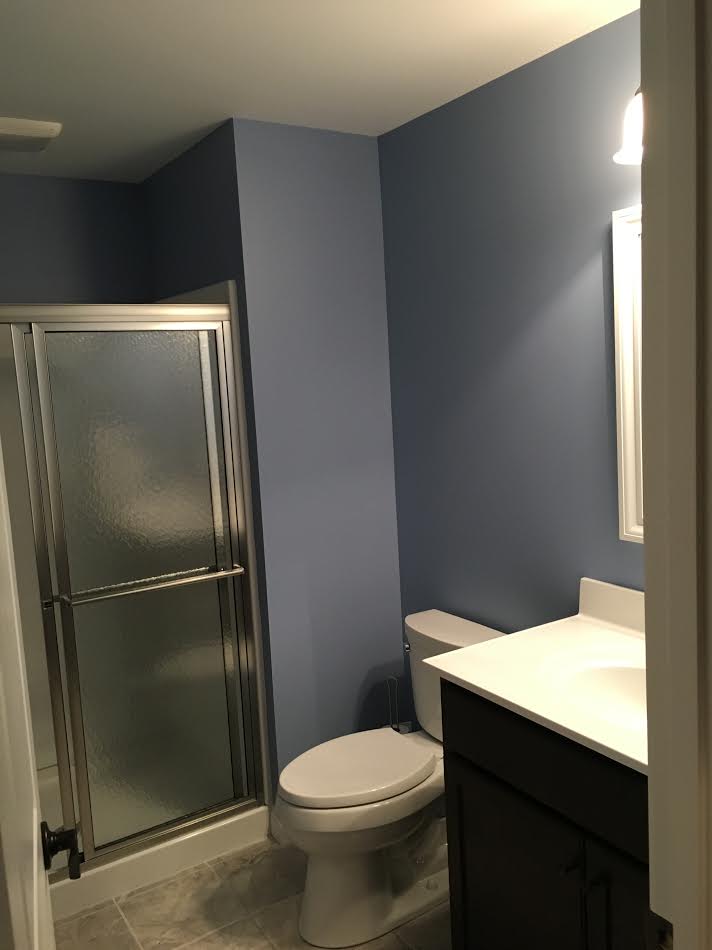 Basement baths —Toilet with silver door in Cincinnati, OH