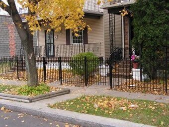 Fence and Tree - Wrought Iron Fencing in Buffalo, NY
