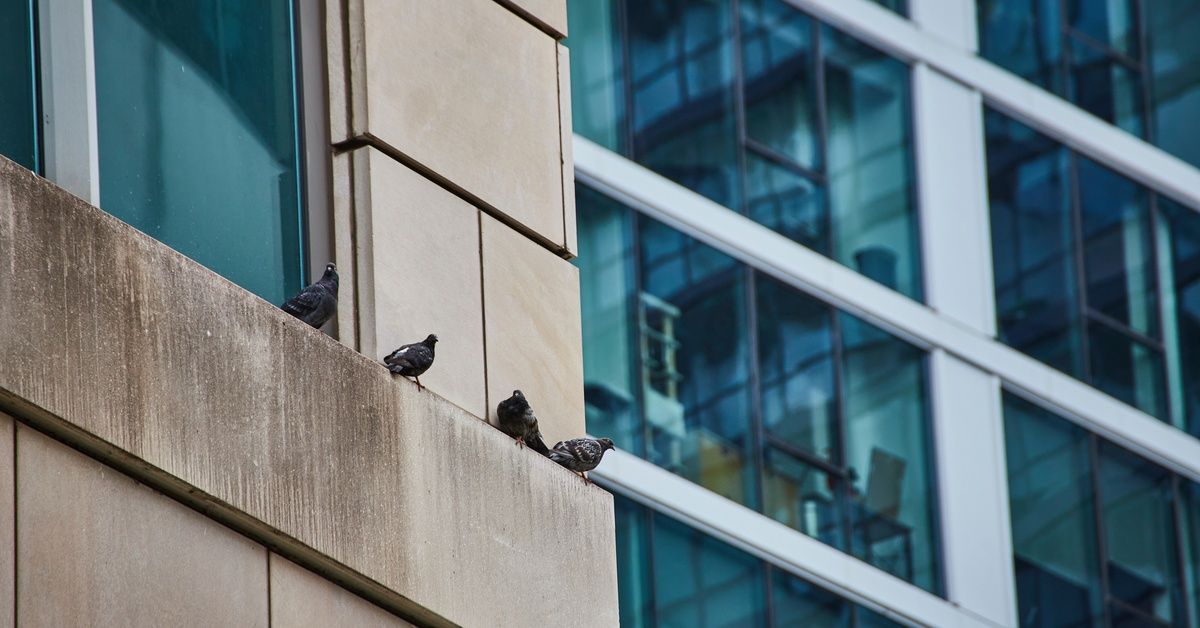 A dynamic shot of a high-rise building with tinted windows providing a peek into the offices; four p