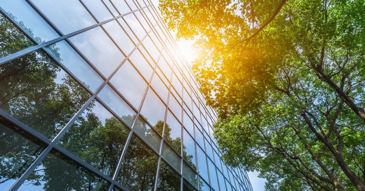 A large glass office building is reflecting green trees and bright sunlight as it extends into the sky.