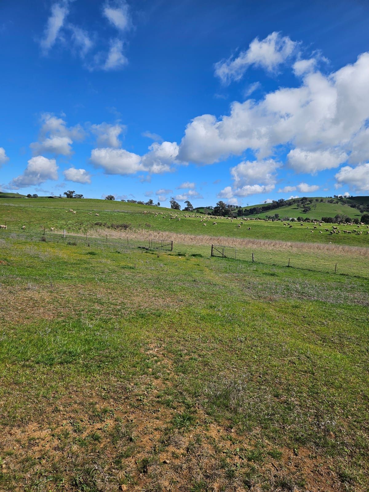 Grassy hillside under a bright blue sky with scattered white clouds — Dusty Rural Contracting in Coolac, NSW