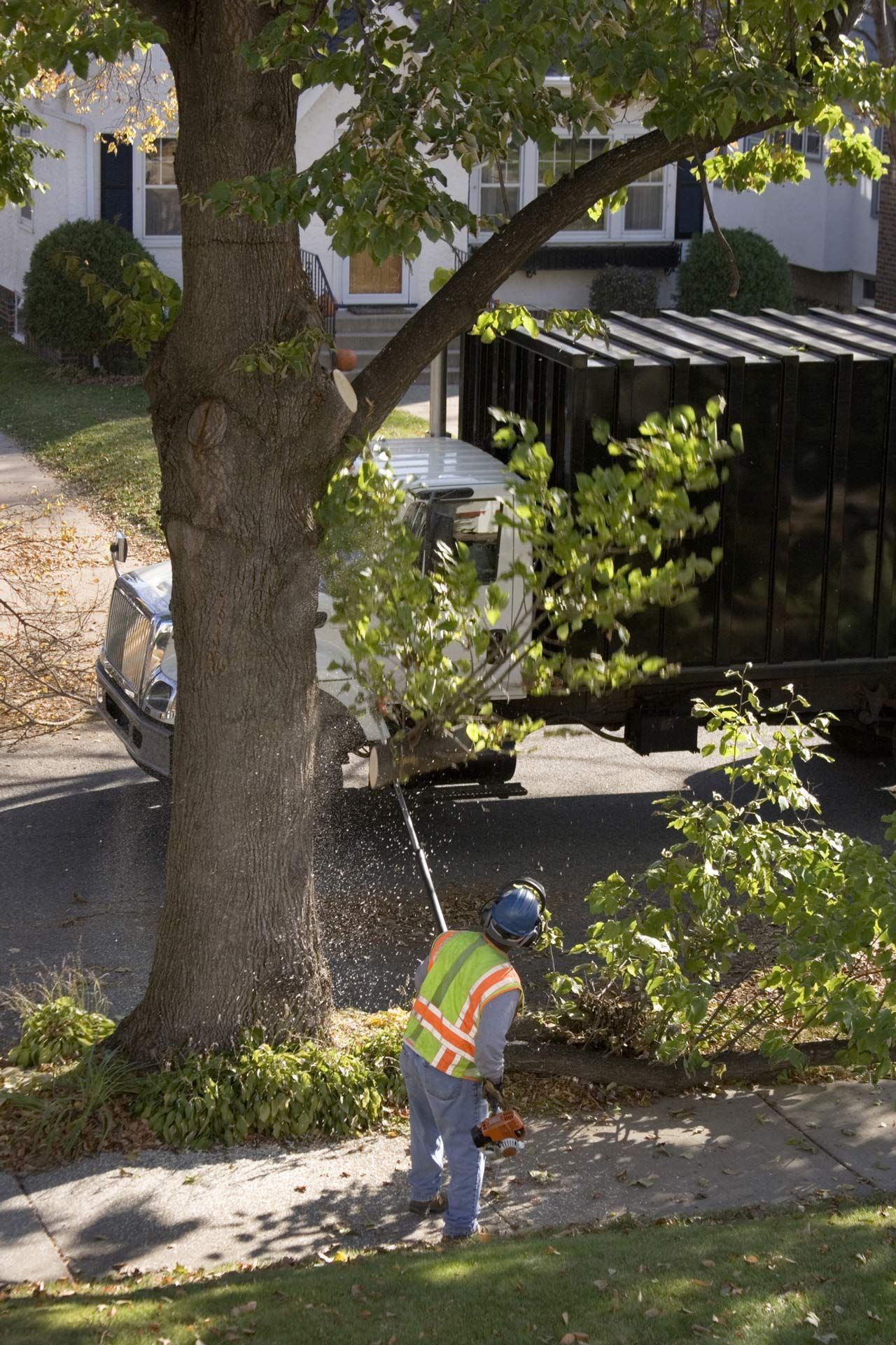 Man in safety vest uses chainsaw to trim a tree on a sidewalk. A truck and residential buildings are in the background.