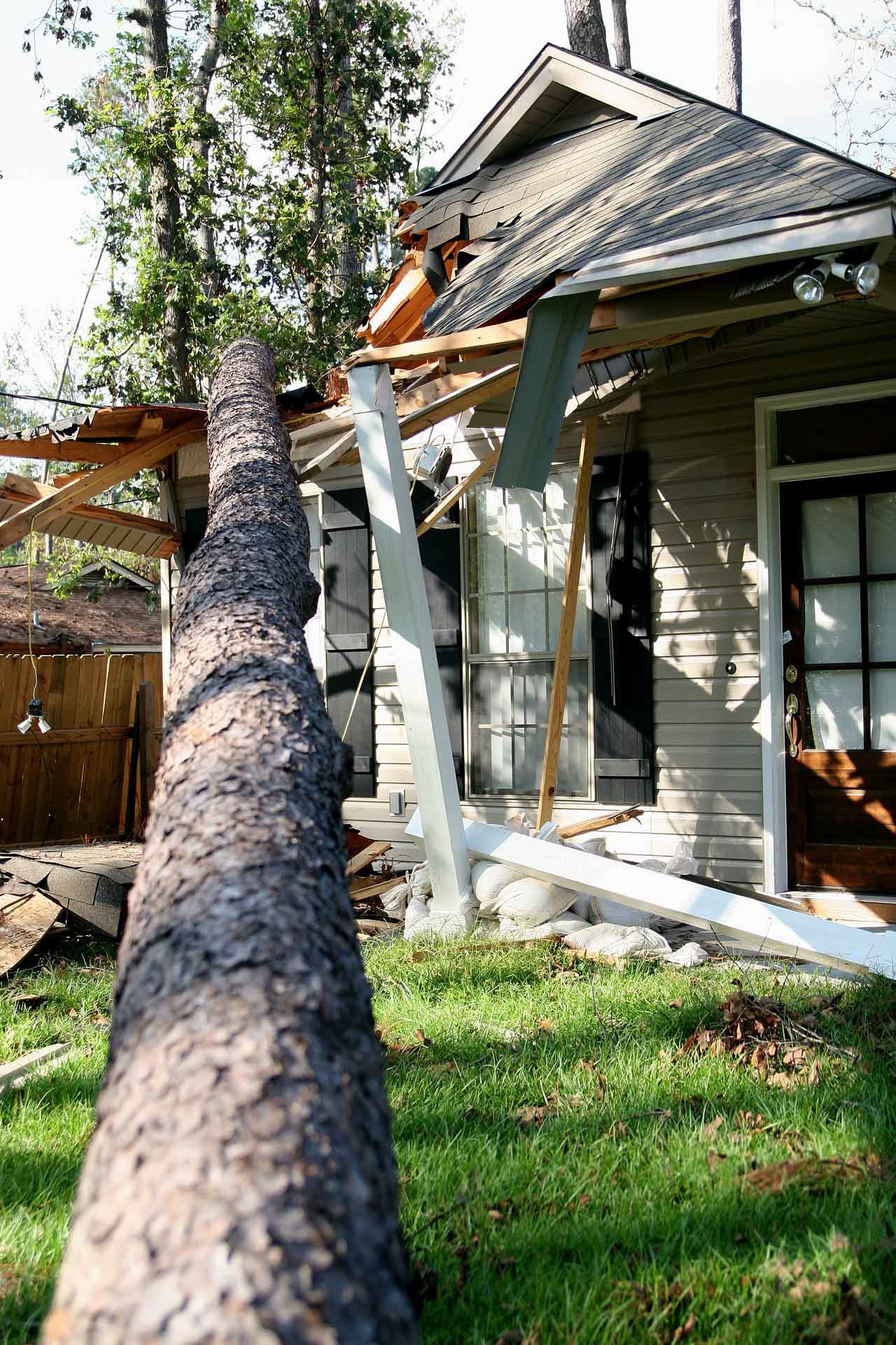 Fallen tree crashed into a house, causing roof and wall damage; green grass, sunny day.