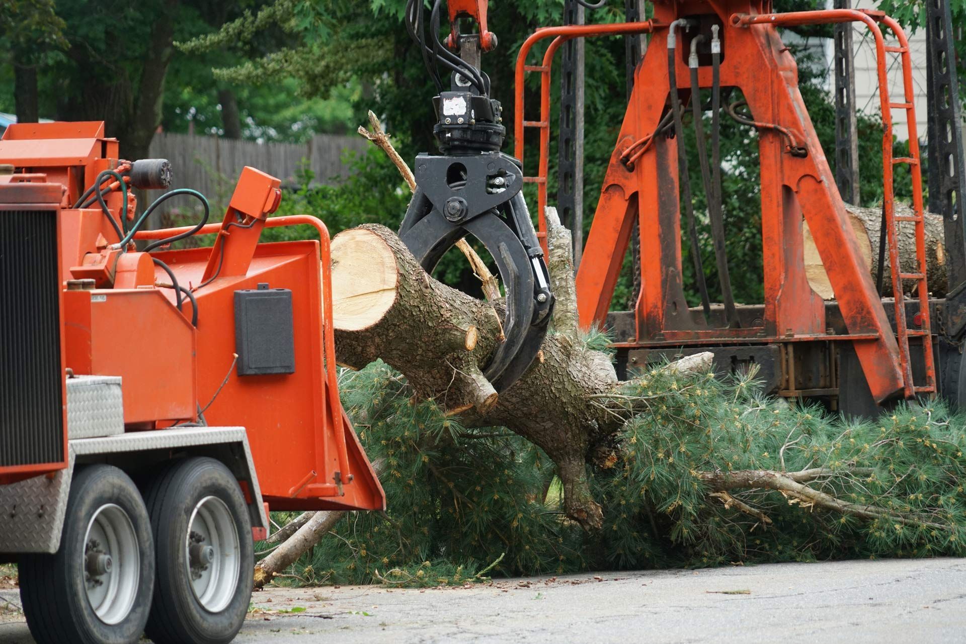 An orange wood chipper machine is processing a tree trunk on a city street.