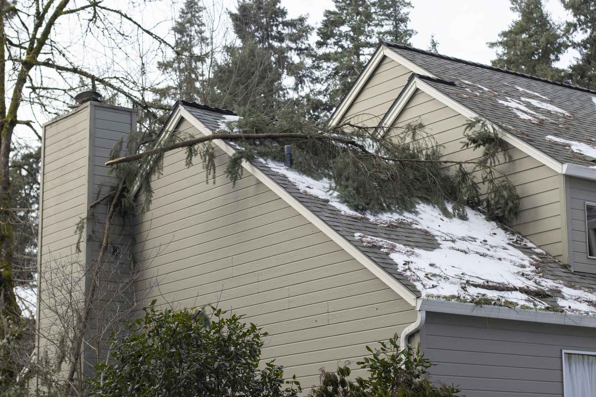 Tree branch on a house roof covered in snow