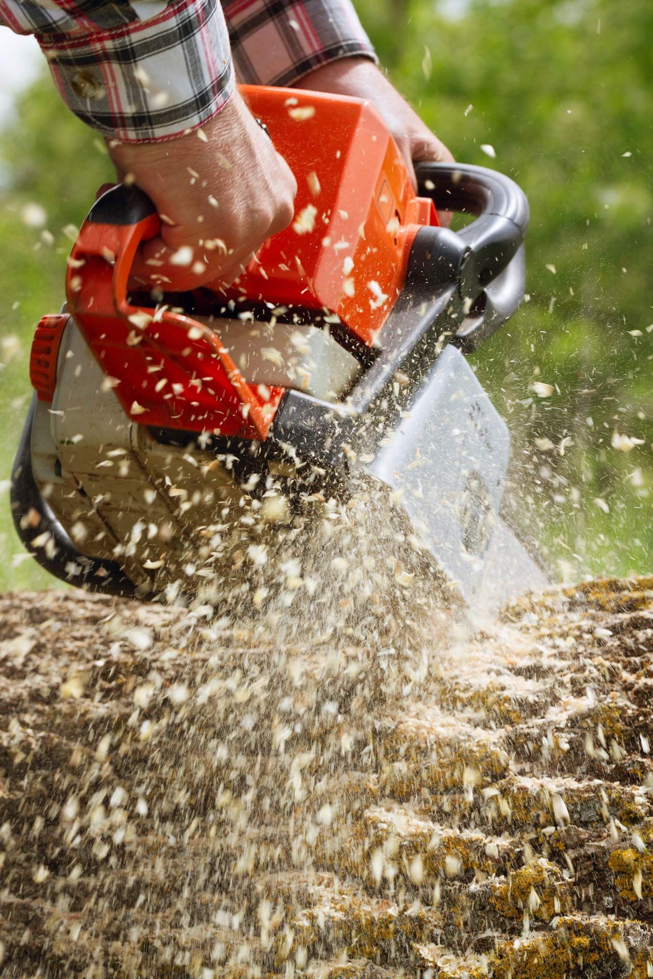 Man using an orange and gray chainsaw to cut through a log, with sawdust flying.