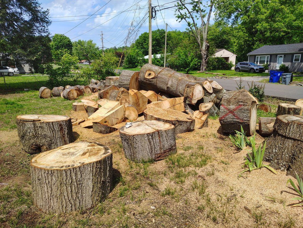 Orange wood chipper processing a tree trunk on a road