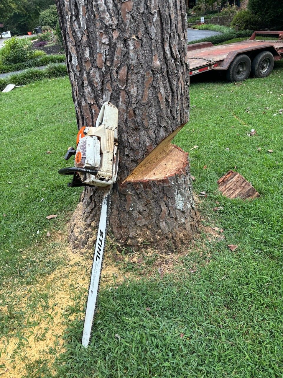 Man using an orange chainsaw to cut a log; wood chips flying.