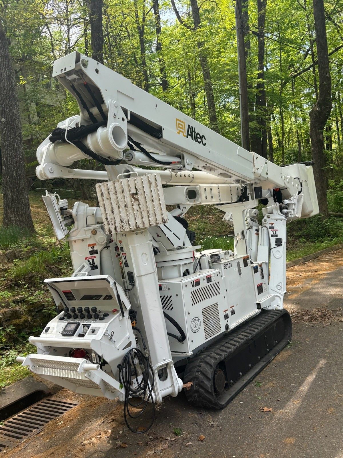 Arborist using a chainsaw to cut a tree branch