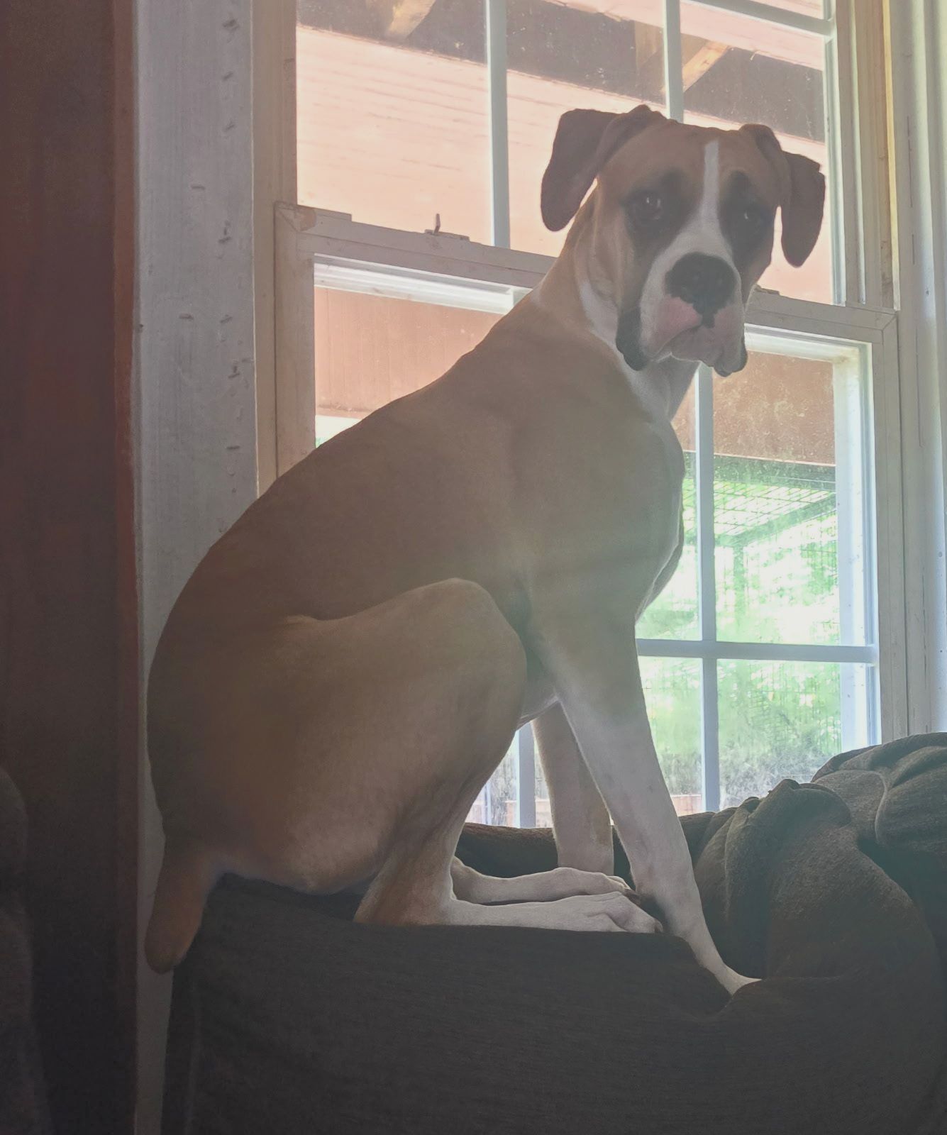 Lainey hanging out