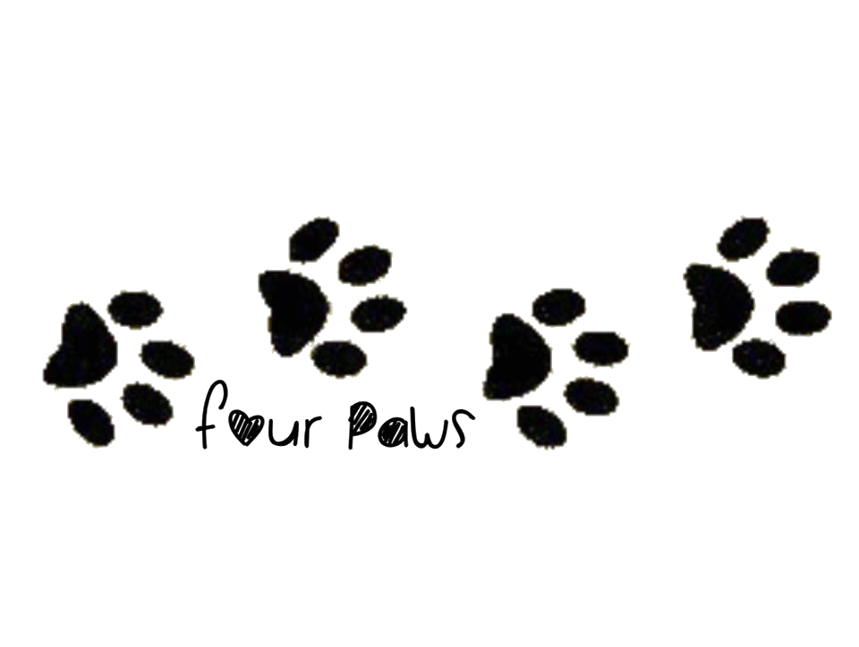 Four Paws Auction and Fundraiser