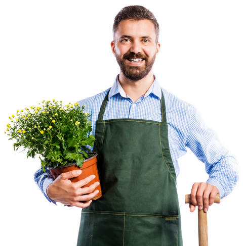 A man in an apron is holding a potted plant